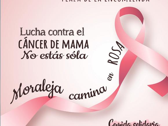 V MARCHA LUCHA CONTRA EL CANCER DE MAMA